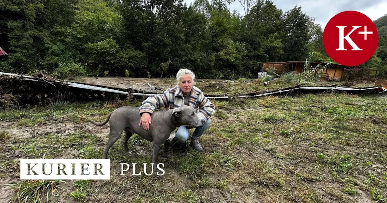 'Nur ein Wunder kann uns retten': Tier-Gnadenhof vom Hochwasser verwüstet