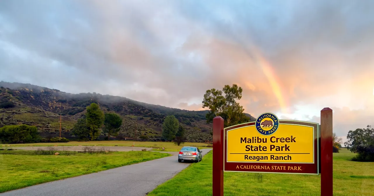 Underweight Mountain Lion Attacks 5-Year-Old Boy In Malibu Creek State Park