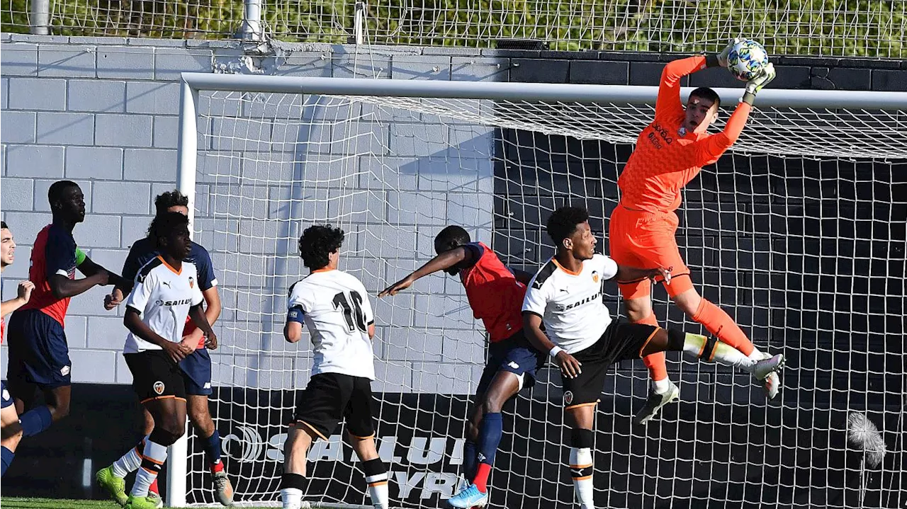 LOSC (Youth League) : six chocs au programme pour les jeunes Dogues