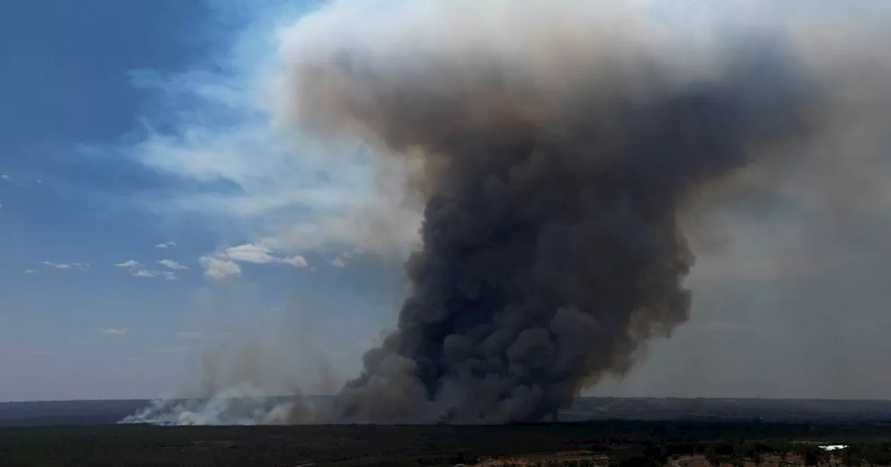 Bomberos brasileños combaten incendio en un parque nacional que ha envuelto a Brasilia en humo