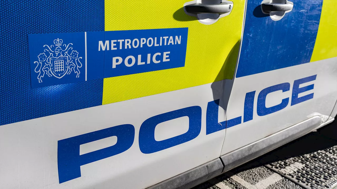 Teenager rushed to hospital after being hit by Metropolitan Police car in East London incident