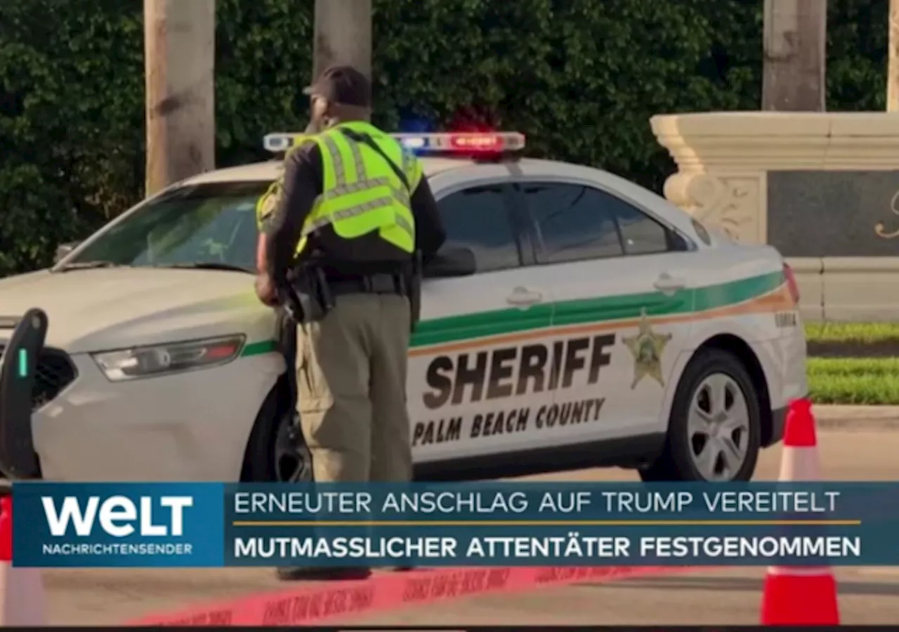 ‘Trump Sowed the Seeds’: German Media Blames Trump For Assassination Attempts