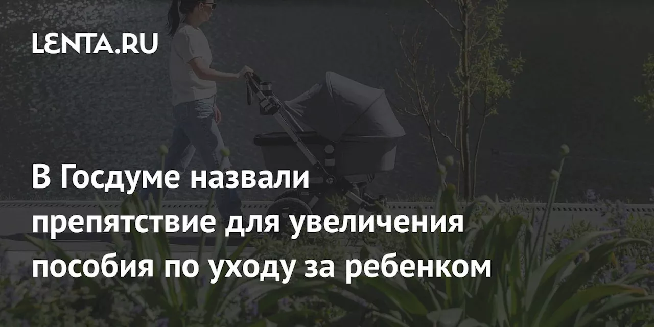 В Госдуме назвали препятствие для увеличения пособия по уходу за ребенком