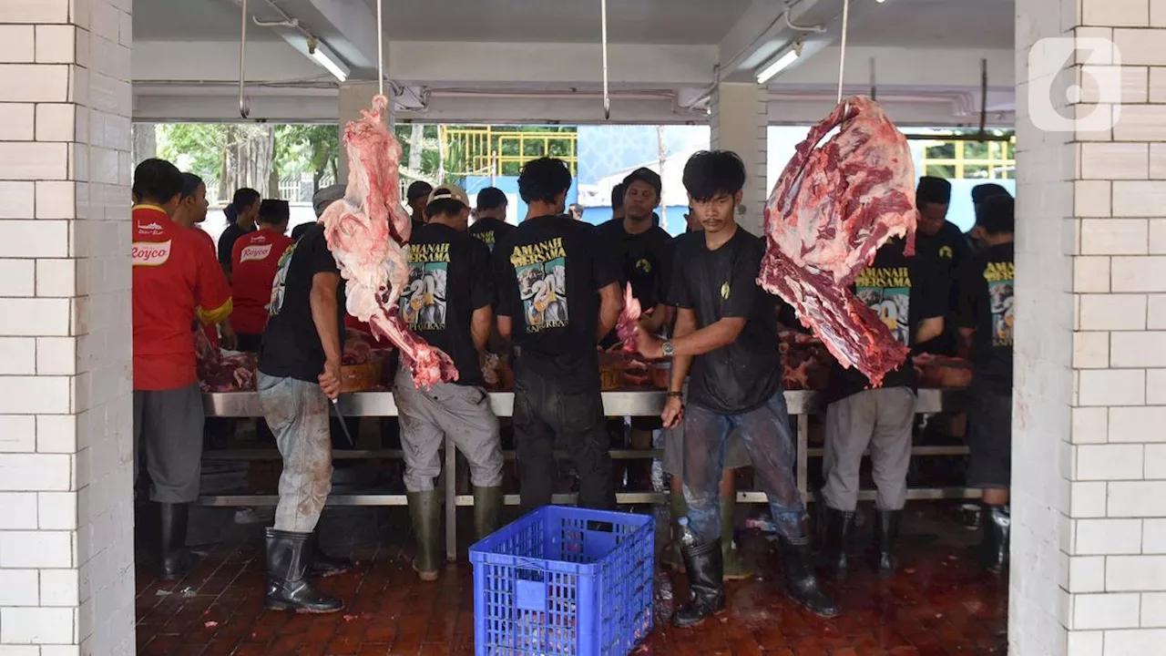 Panduan Lengkap: Berapa Lama Daging Bisa Disimpan di Freezer Tanpa Mengurangi Kualitas?