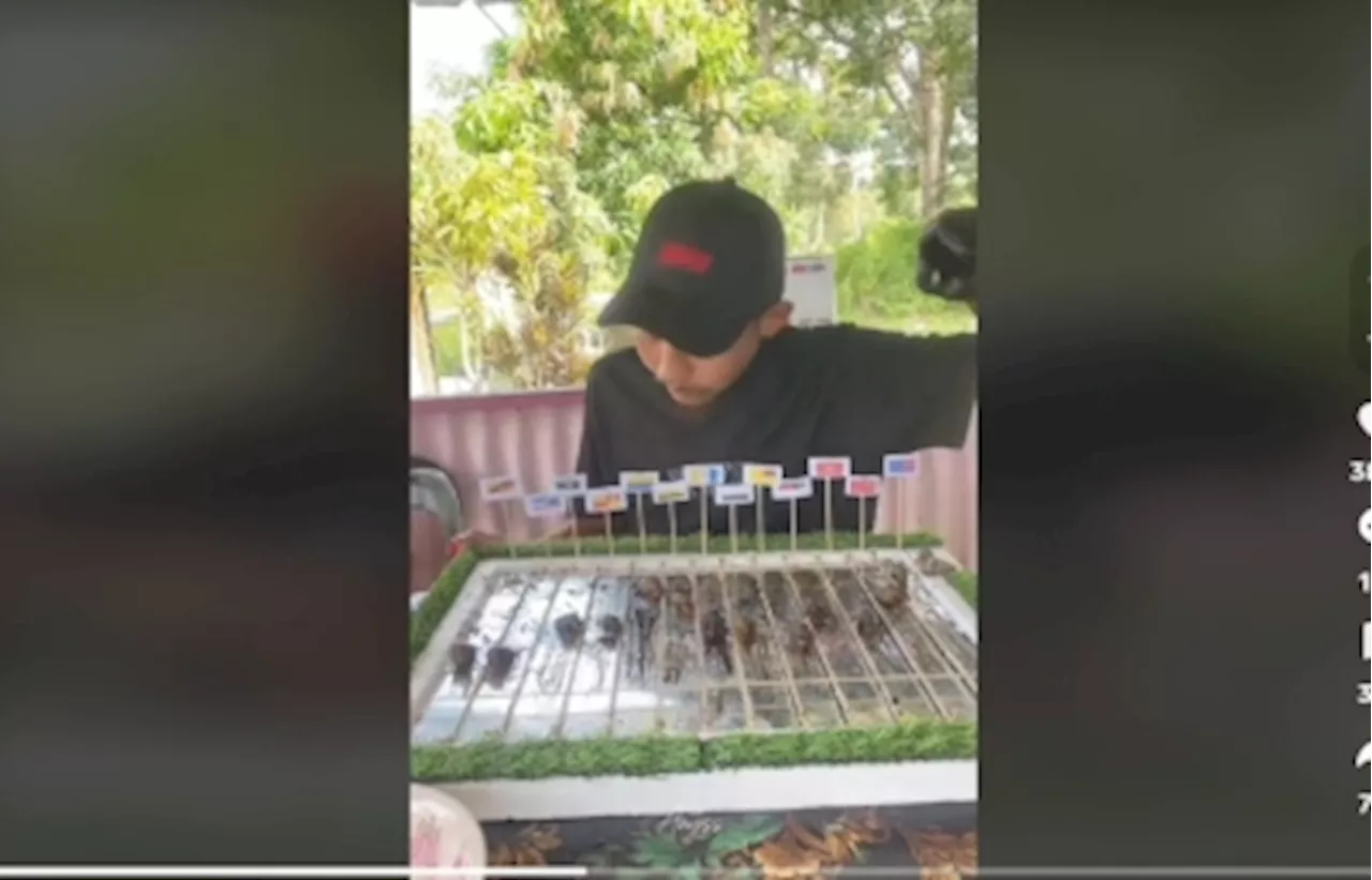 Faster than a speeding ‘siput sedut’: How ‘Olymput’ race became Malaysia’s latest TikTok craze (VIDEO)