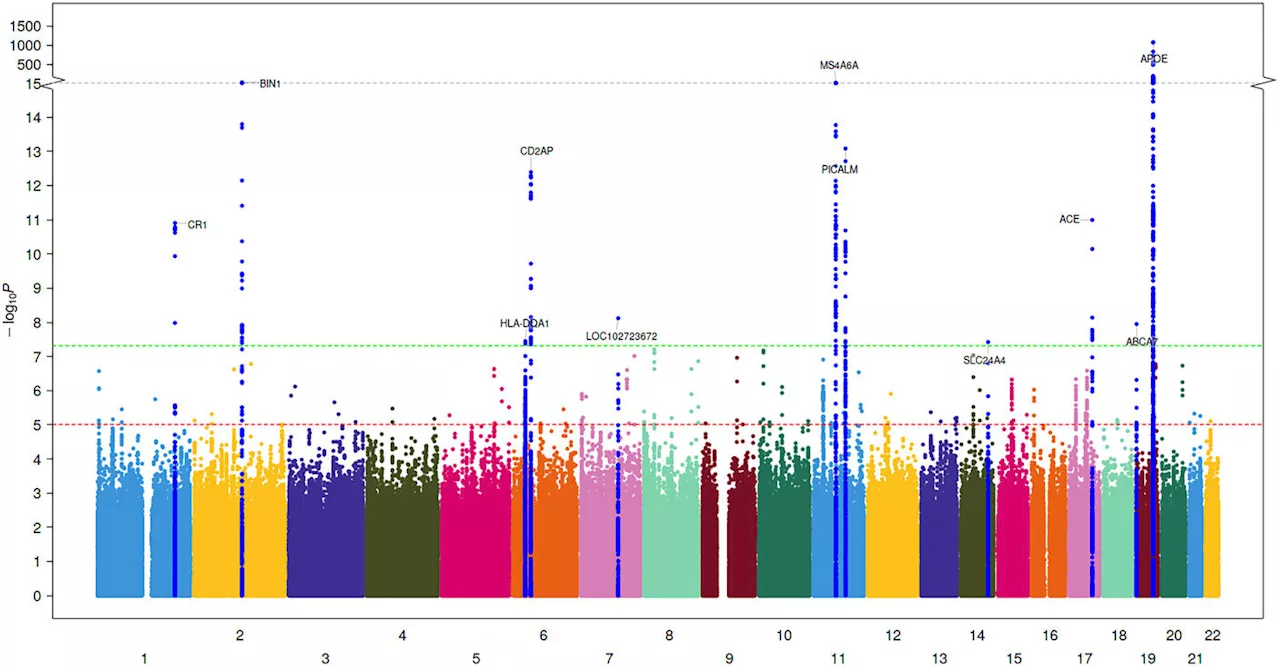 Research team finds genetic risk-factor overlap between Alzheimer's disease, and all-cause and vascular dementias