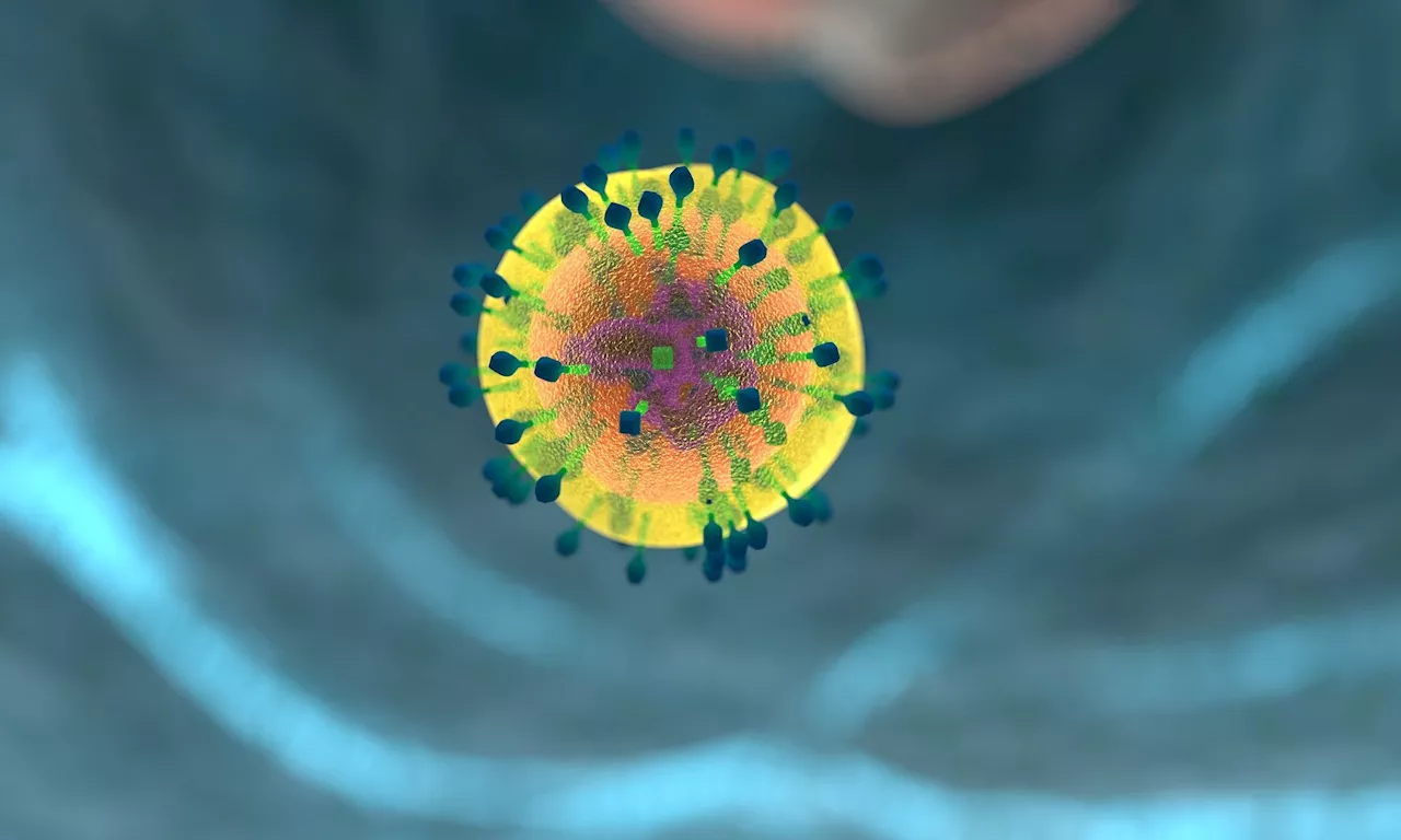 Study sheds light on how virus-fighting cells develop during long COVID