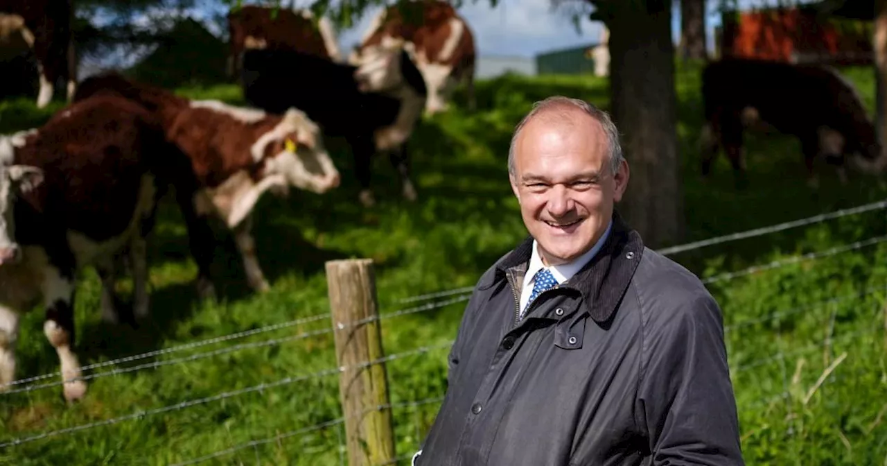 Lib Dem leader Ed Davey reveals why he didn't stick his hand in a cow