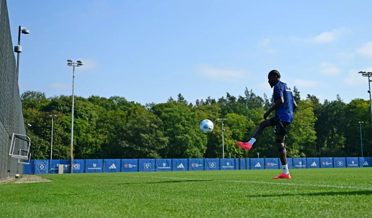 Comeback-Plan bei Jatta steht: Bekommt HSV-Trainer Baumgart bald ein neues Problem?