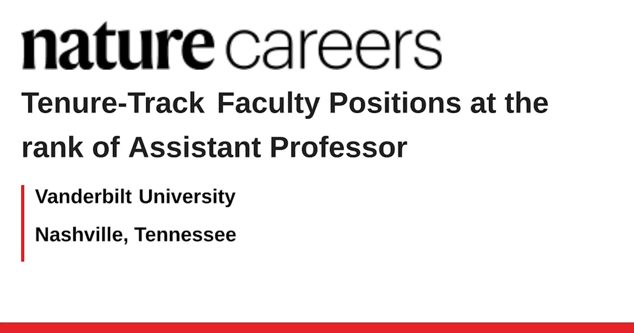 Assistant Professor Tenure-Track Faculty Positions - Nashville, Tennessee job with Vanderbilt University