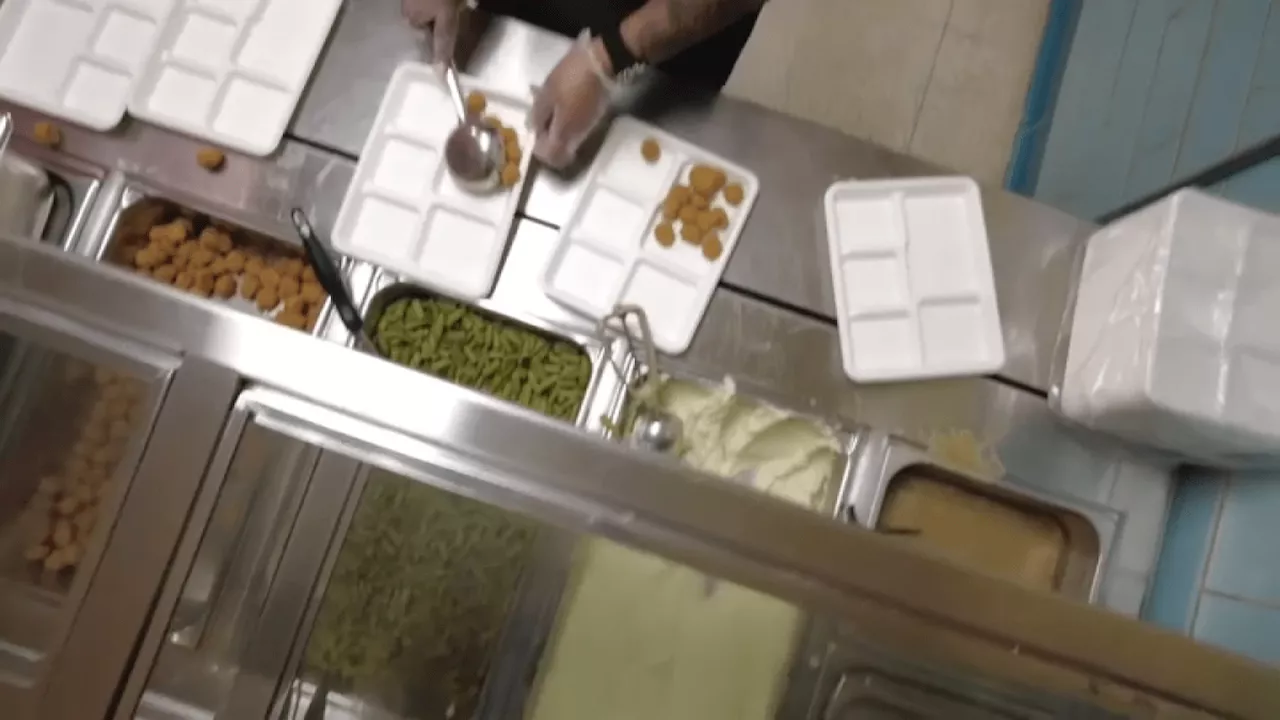 Upper Dublin School District Faces Backlash Over Temporary Cold Lunch Plan