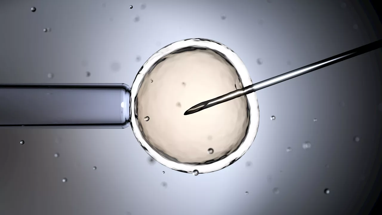 Senate Republicans again block legislation to guarantee women's rights to IVF