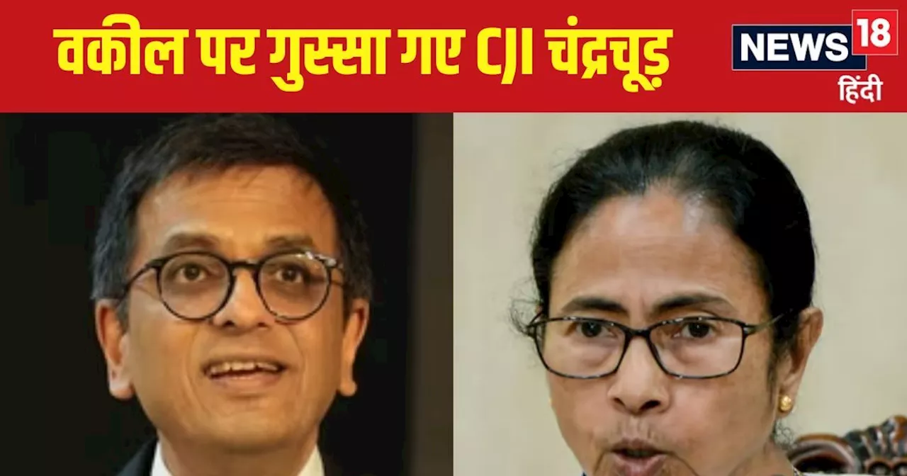 सिब्बल और तुषार दे रहे थे दलीलें... तभी एक वकील ने कहा कुछ ऐसा कि गुस्सा गए CJI चंद्रचूड़, बोले- कोर्ट से ब...