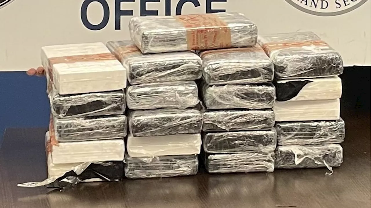 Customs officers seize nearly $730,000 in cocaine from car at border crossing