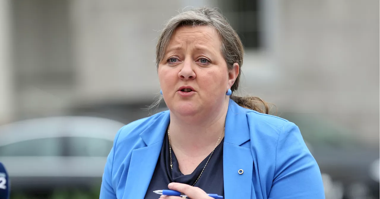 Green Party 'only getting started' on delivering cycling infrastructure across Ireland