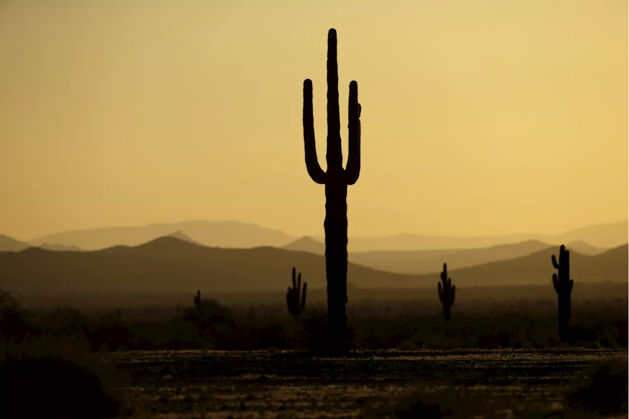 Arizona Tribe Seeks to Ban Drilling on Sacred Spring