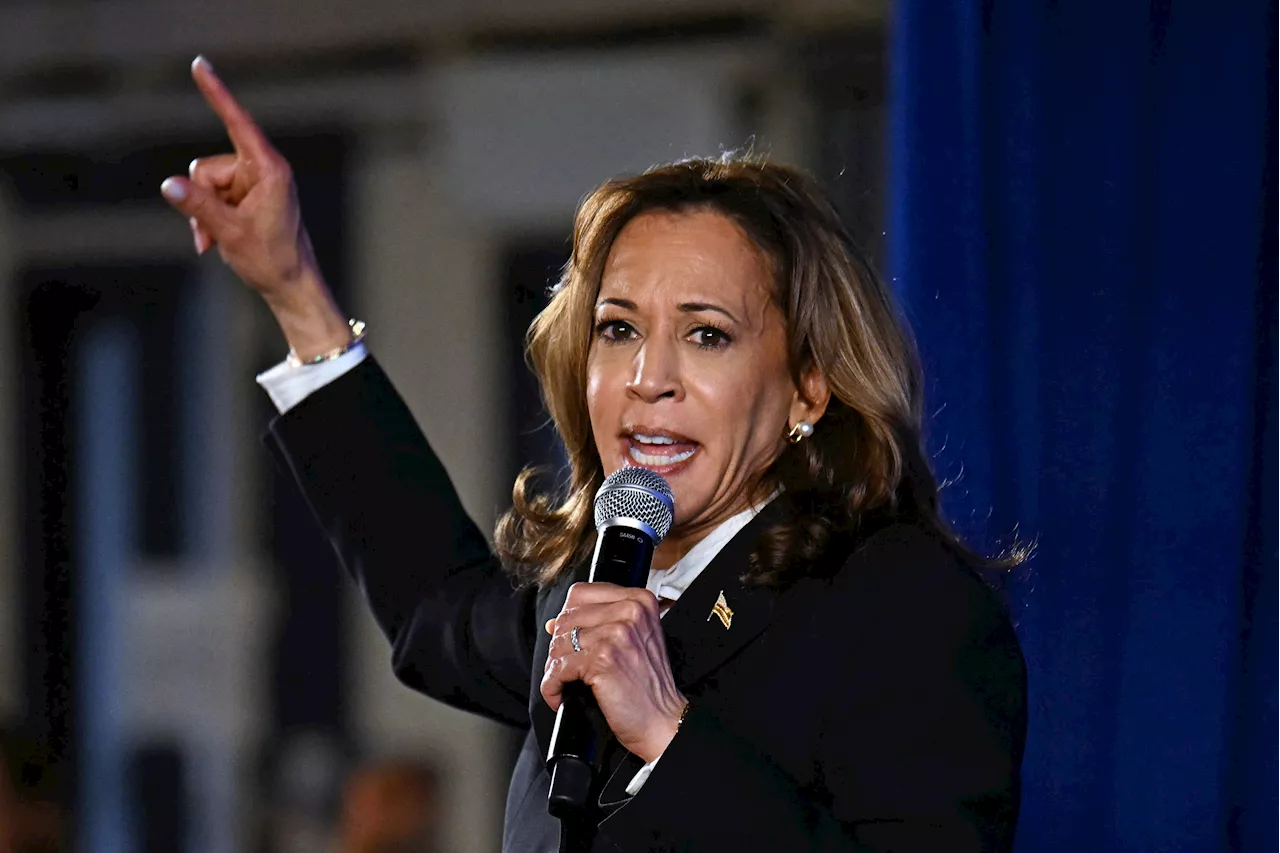 Kamala Harris Lands Good Sign in Must-Win State, Poll Shows