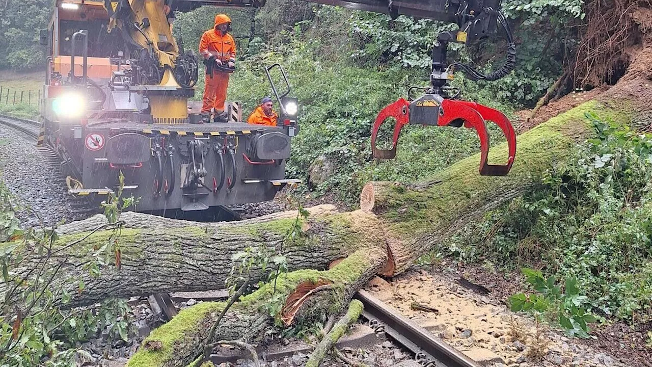 Bahn-Update: ÖBB heben Zugbindung für mehr Flexibilität auf