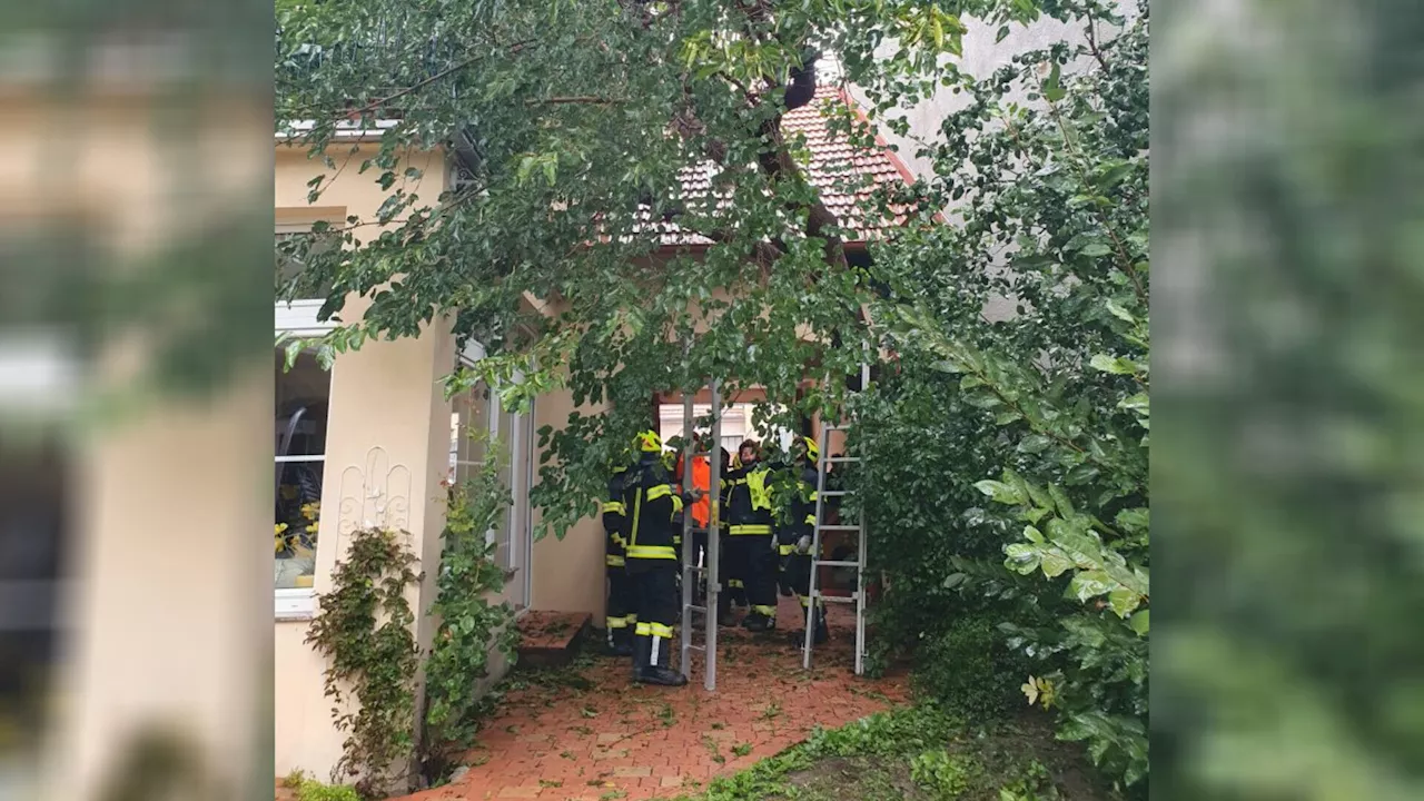 Dammöffnungen, fallende Bäume und mehr Regen im Süden