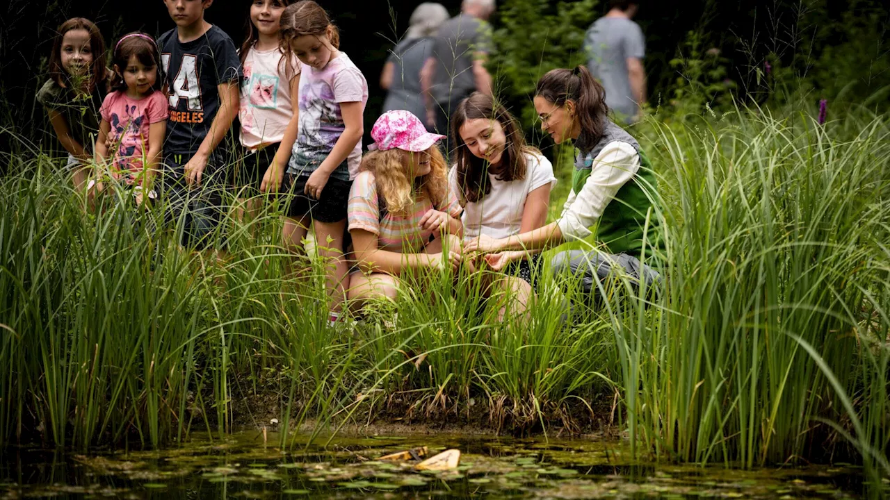 Familientag im Nationalpark Donau-Auen: Spannende Entdeckungen