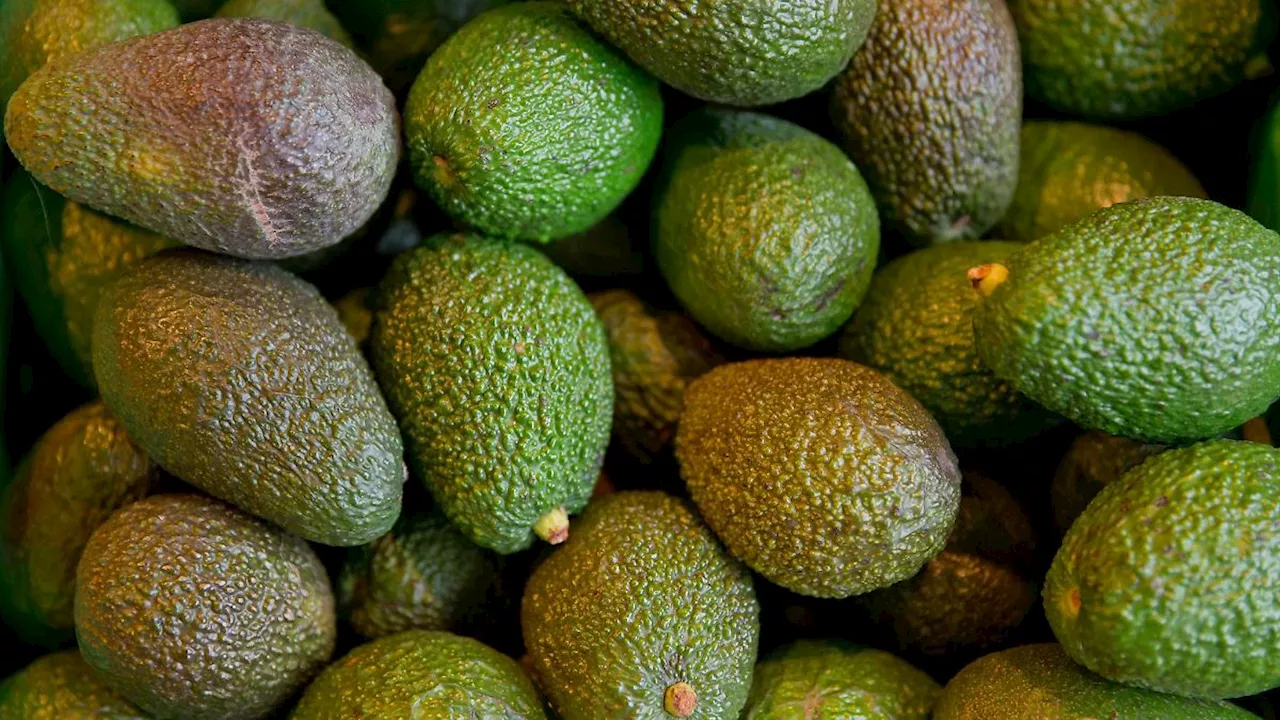 Baden-Württemberg: Sechs Avocados pro Kopf in Baden-Württemberg