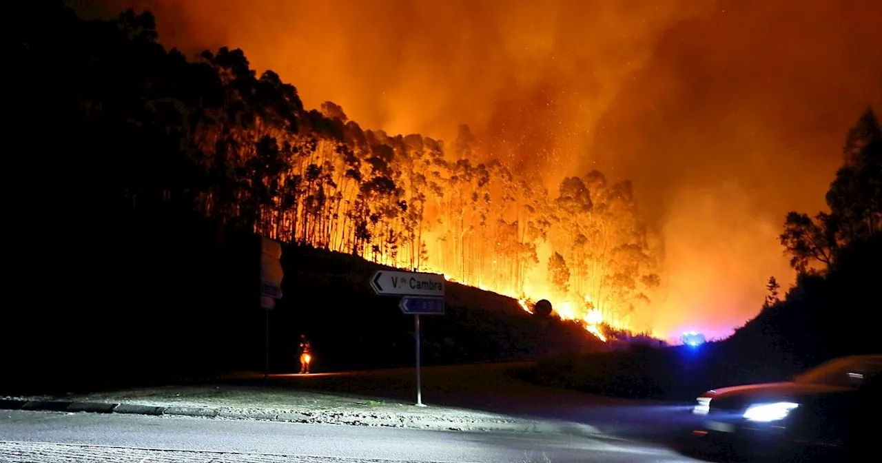 Bereits sieben Tote bei Waldbränden in Portugal