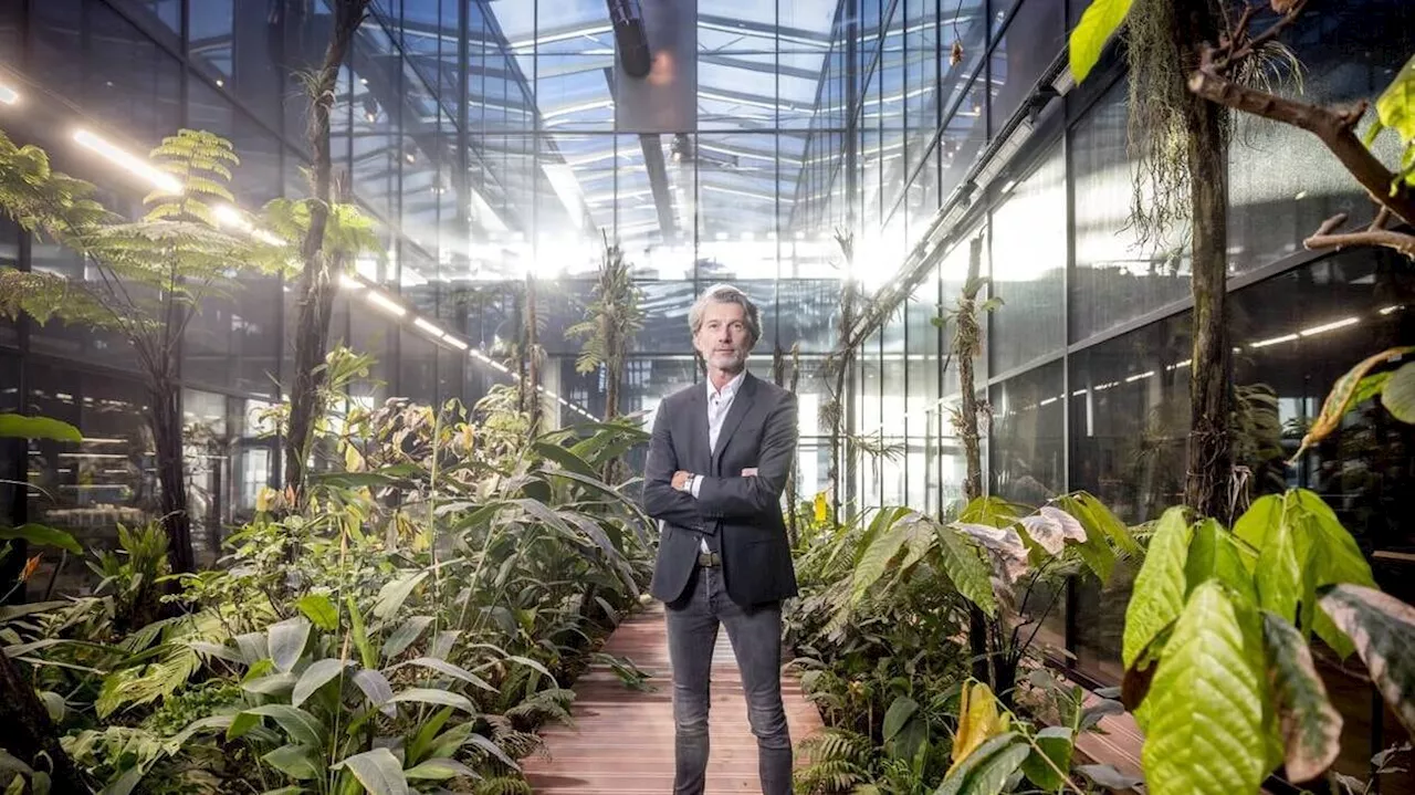 Olivier Bordais, fondateur de La Chocolaterie, prend la tête de Jampi