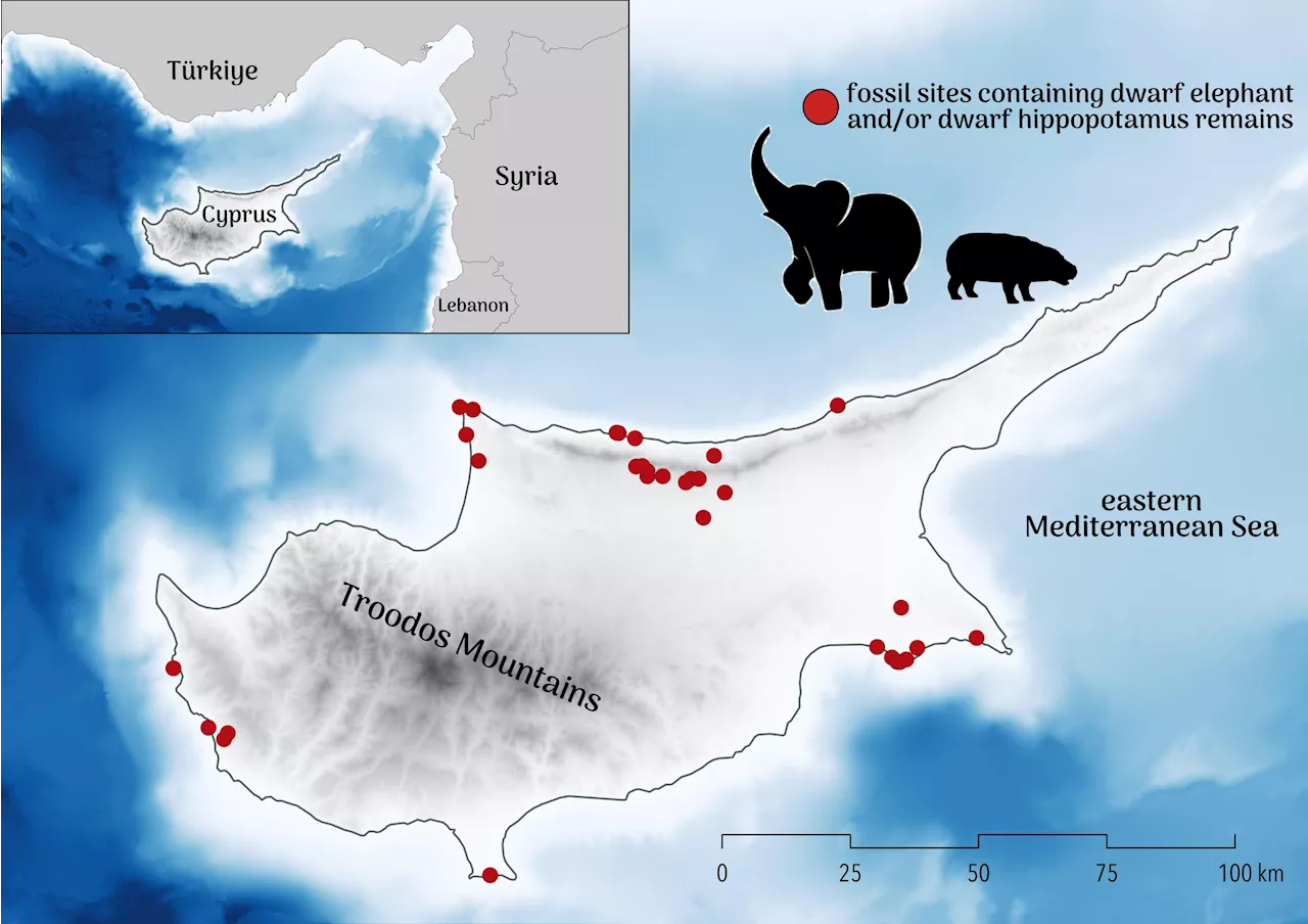 Unraveling an ancient European extinction mystery: Disappearance of dwarf megafauna on Paleolithic Cyprus