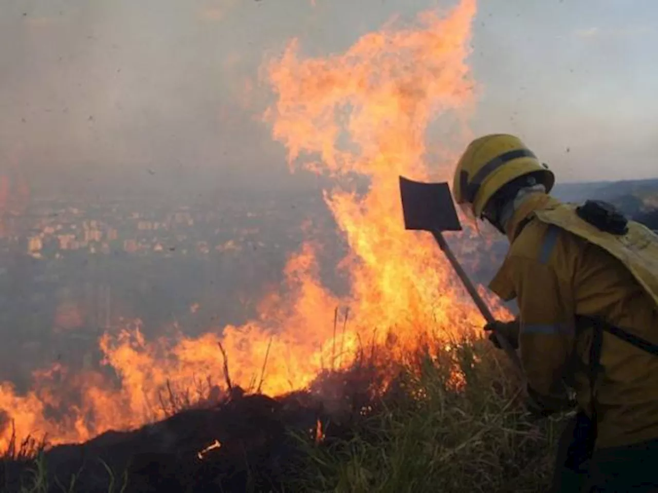 Ya son más de 14.900 hectareas de bosque arrasadas por incendios forestales en Colombia