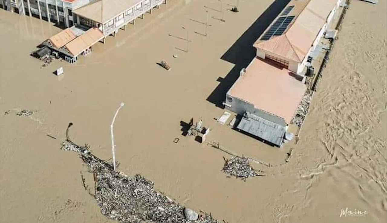 Flood: WHO scales up emergency response in Nigeria