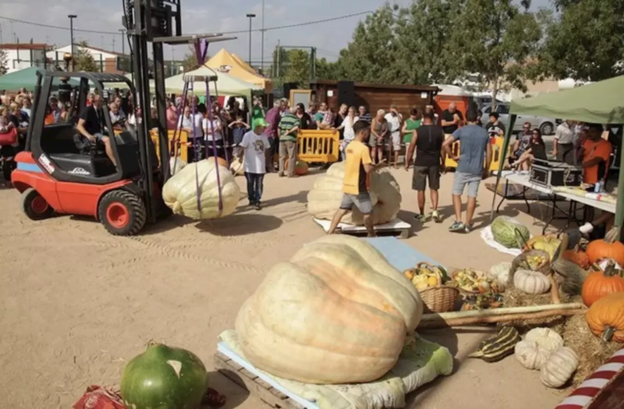 Fires i mercats de Catalunya: 12 propostes originals que potser no coneixes i que pots visitar al llarg de...