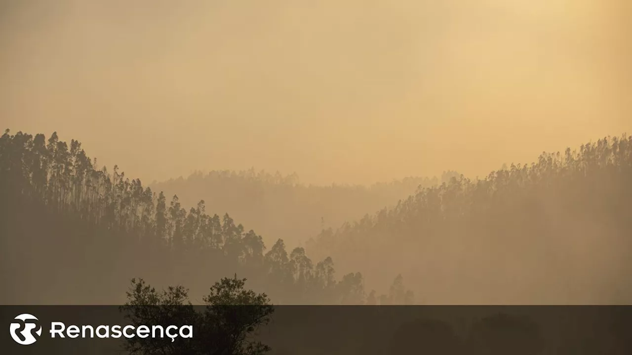 Incêndios. Tábua ativou Plano Municipal de Emergência