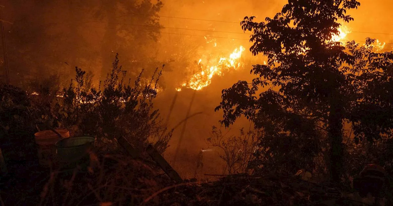 Mindestens drei Tote bei Waldbränden in Portugal