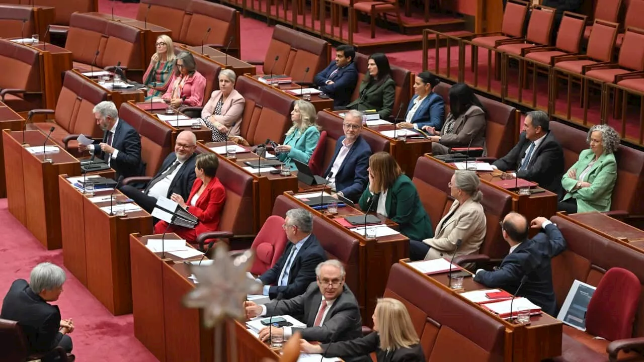 'Stop bulldozing, start negotiating': Senate teams up to delay Labor's housing bills