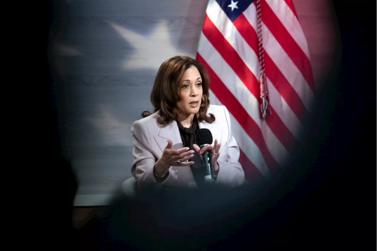 Harris condemns Trump rhetoric, says voters should make sure he ‘can’t have that microphone again’