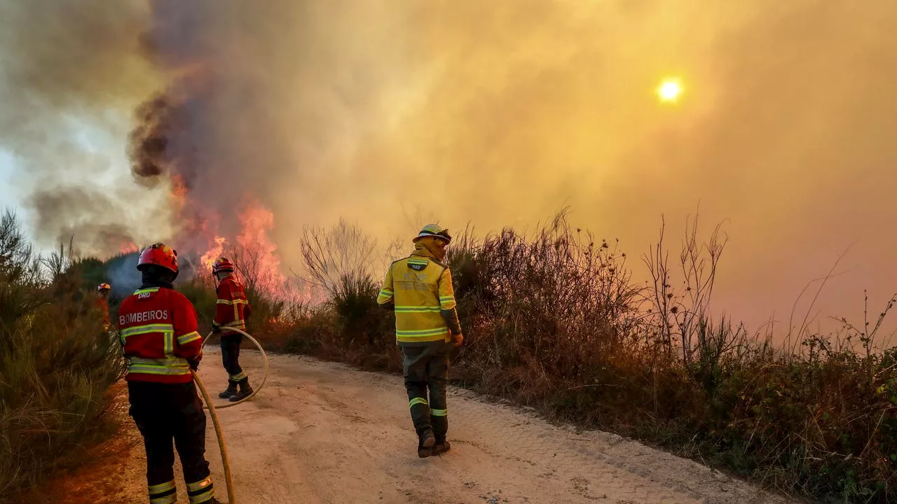 Portugal, en situación 'crítica' por la ola de incendios: el Gobierno prolonga el estado de alerta h