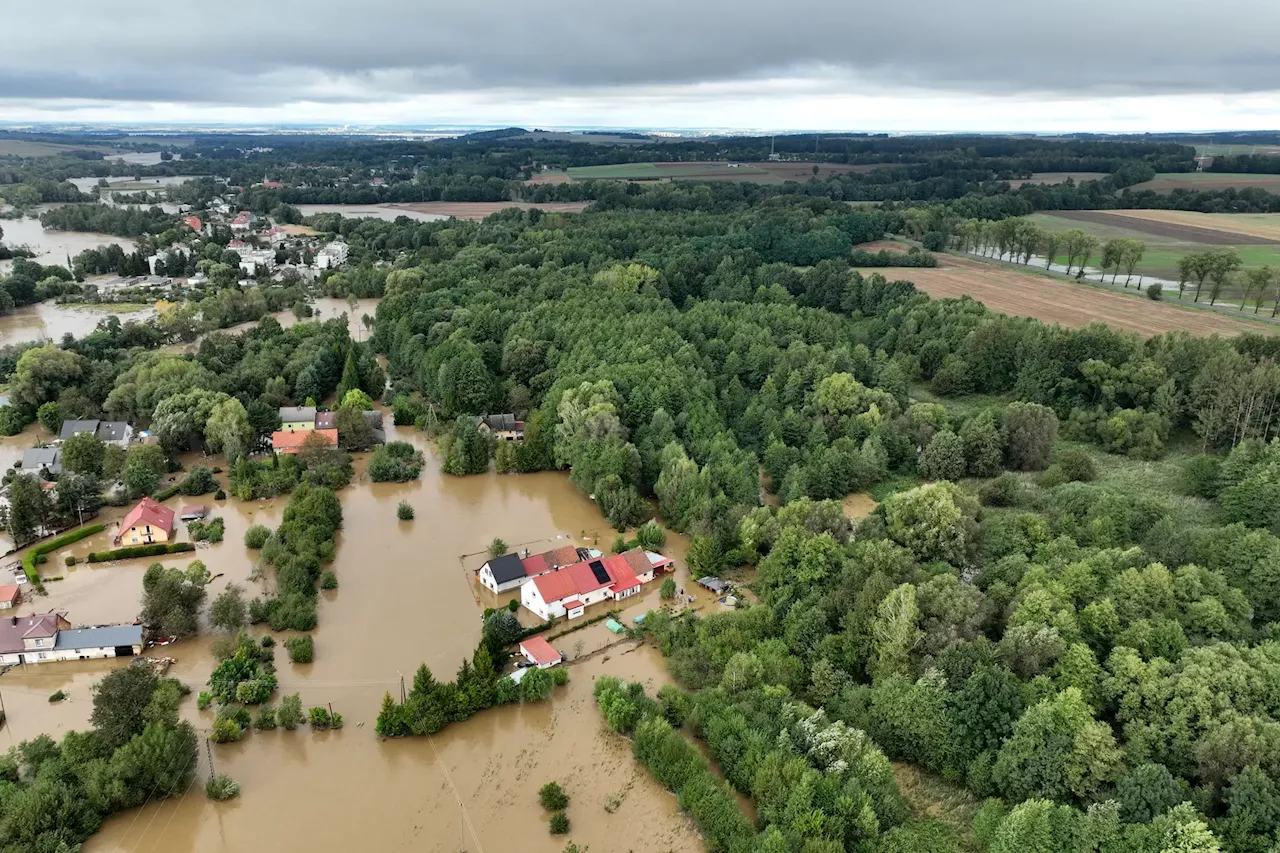 10 minutos: as cheias na Europa Central e os incêndios em Portugal