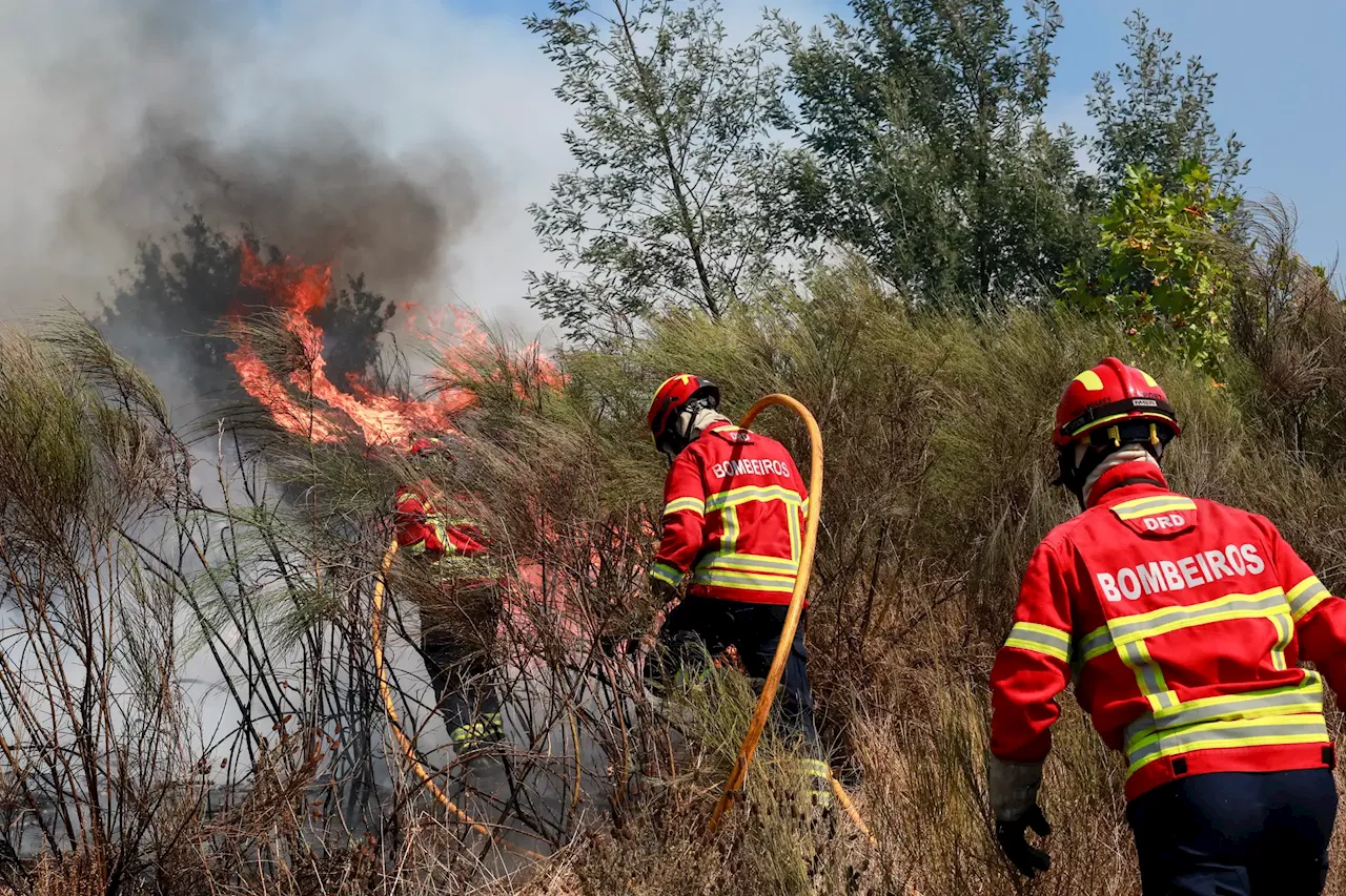 Mais de 250 bombeiros morreram em serviço nos últimos 44 anos