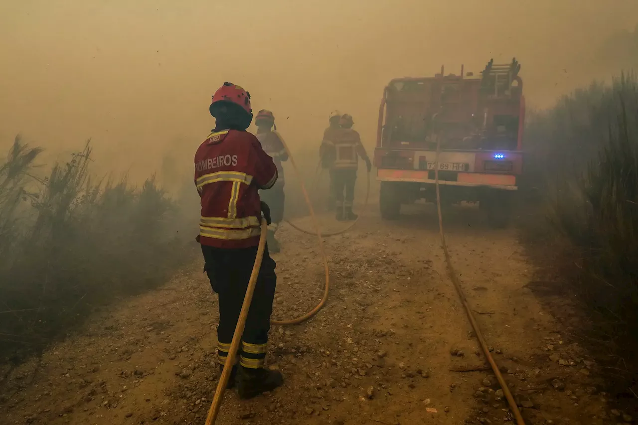 Mulher detida em Condeixa-a-Nova por suspeita de atear fogos florestais