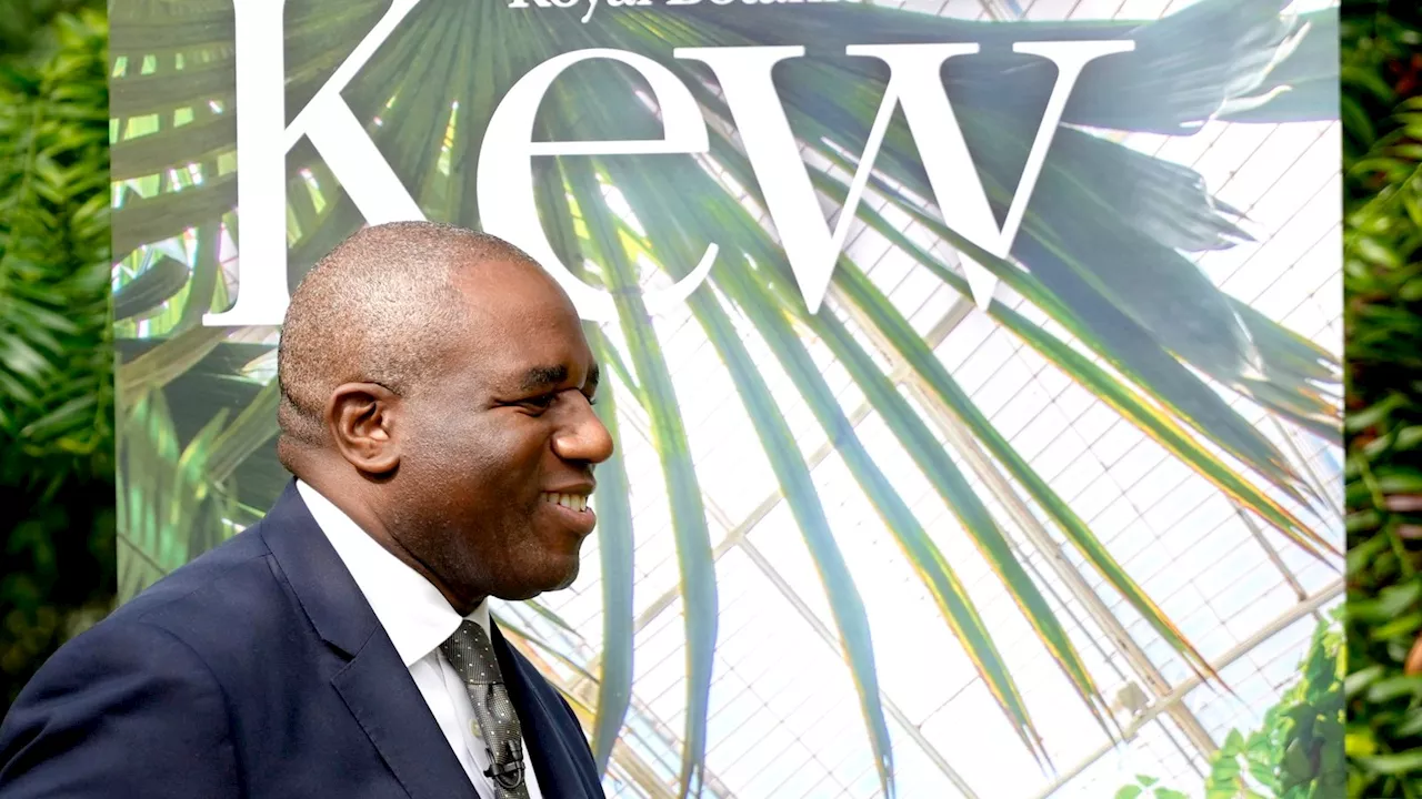 David Lammy's ambitious green foreign policy plans will require cash and commitment