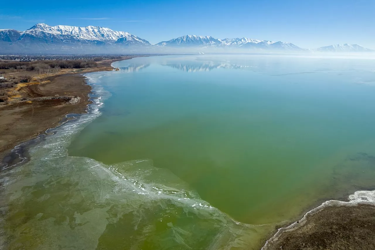 Conservation leads to more water for Great Salt Lake