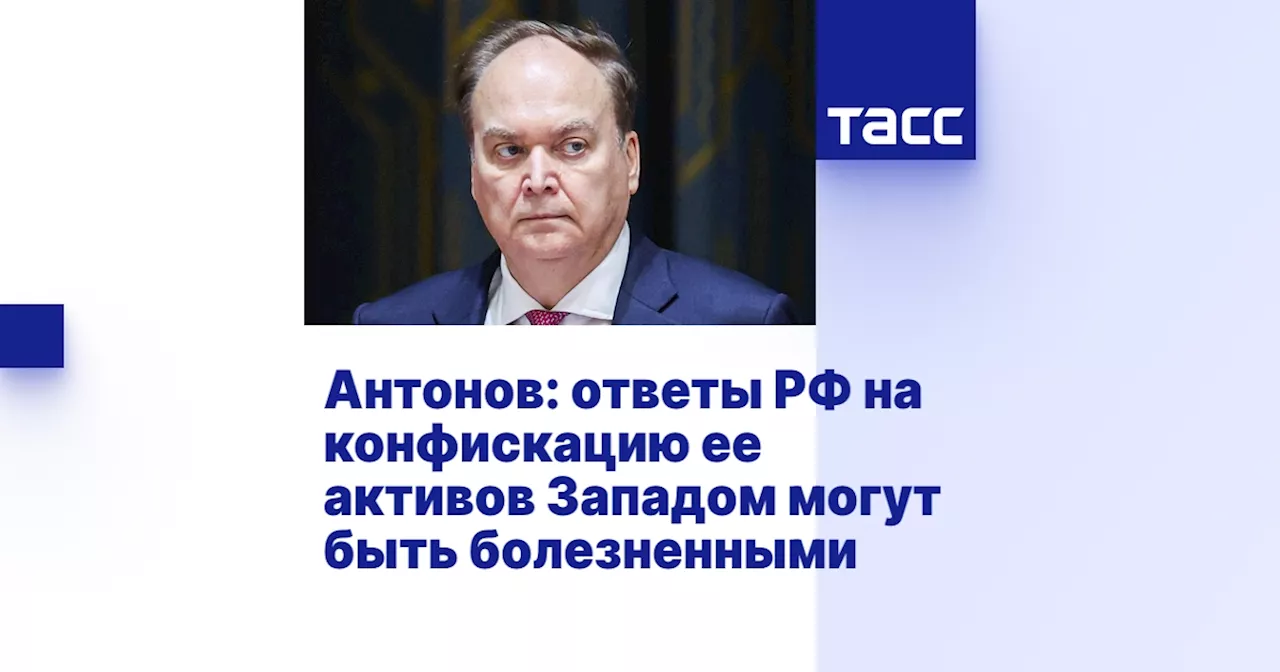 Антонов: ответы РФ на конфискацию ее активов Западом могут быть болезненными