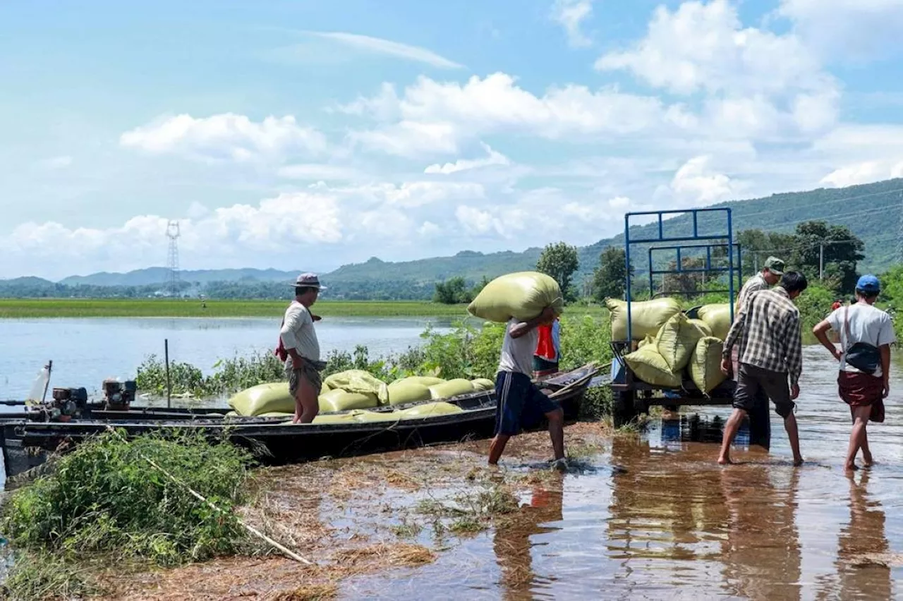 Myanmar crops hit hard as flood deaths double