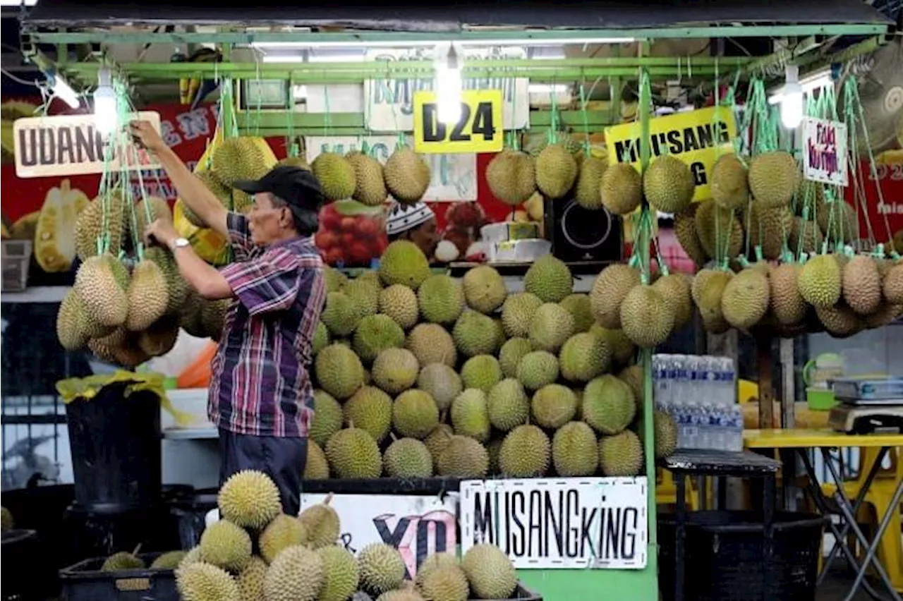 Farmers make Musang King sweeter to please China market