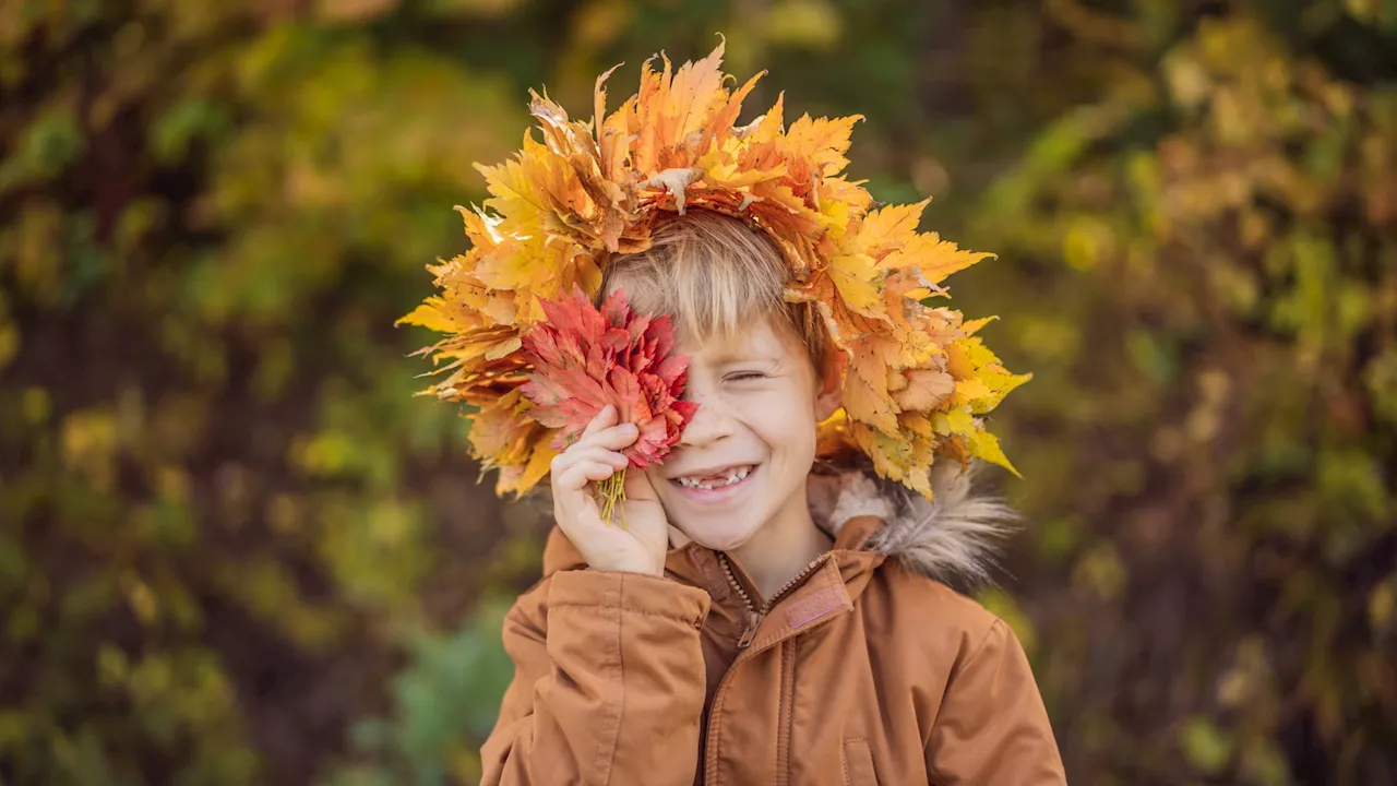 Four budget autumn activities fit for the whole family...