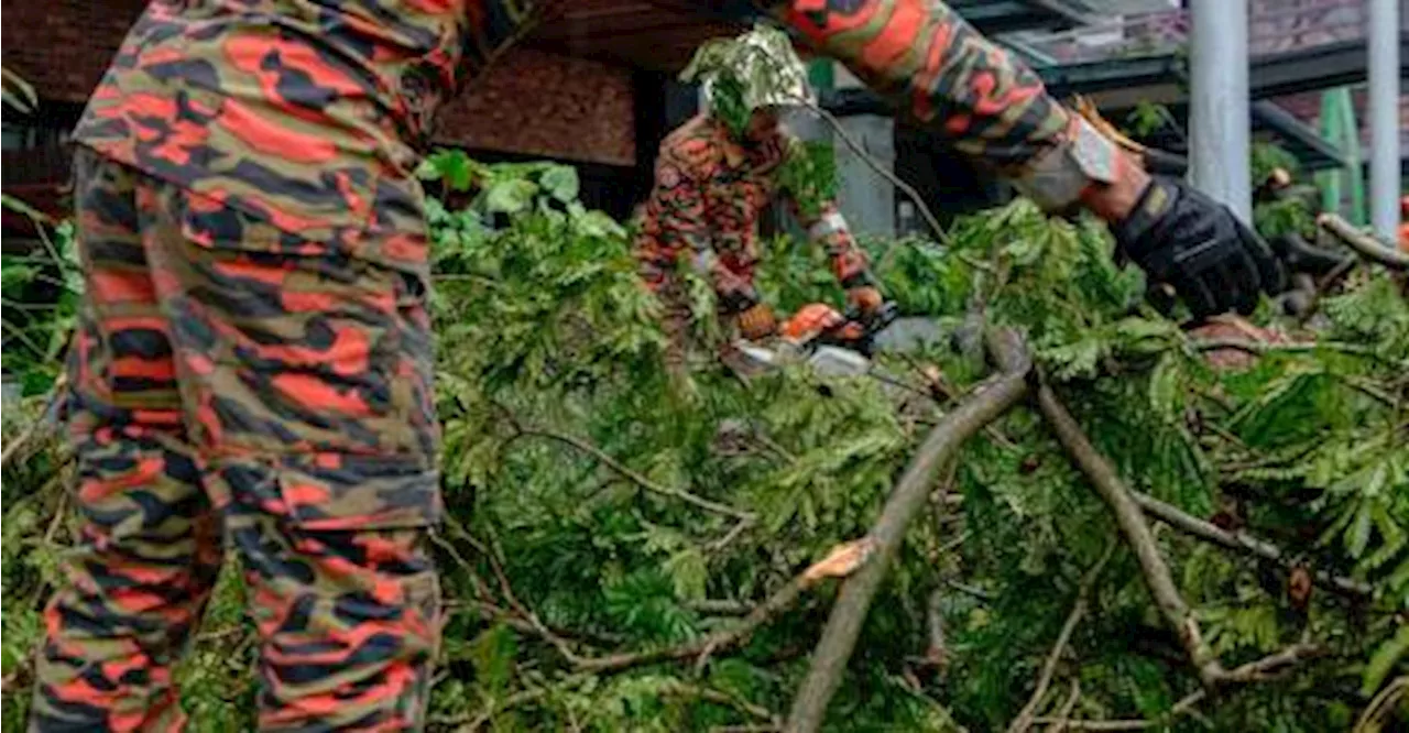 Storm causes trees to fall and flash floods in Penang