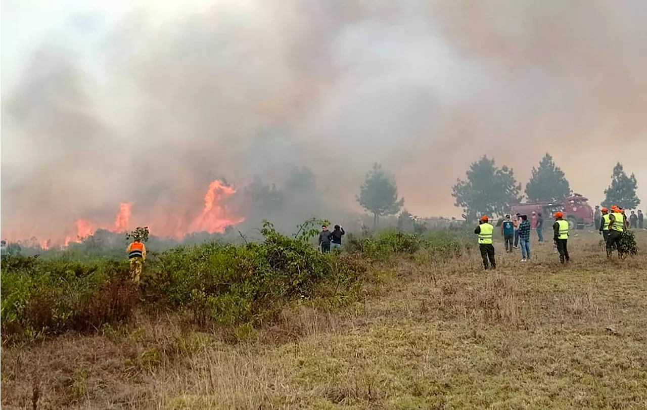 15 maut kebakaran hutan di Peru