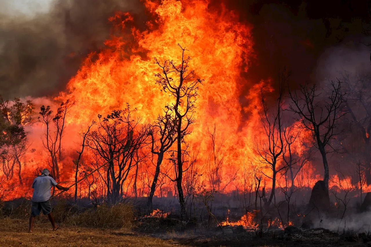 Incêndio que atinge Parque Nacional de Brasília chega ao 3º dia