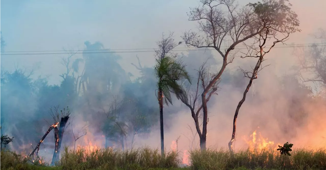 São Paulo tem segunda pior taxa de bombeiros para 1.000 habitantes no país