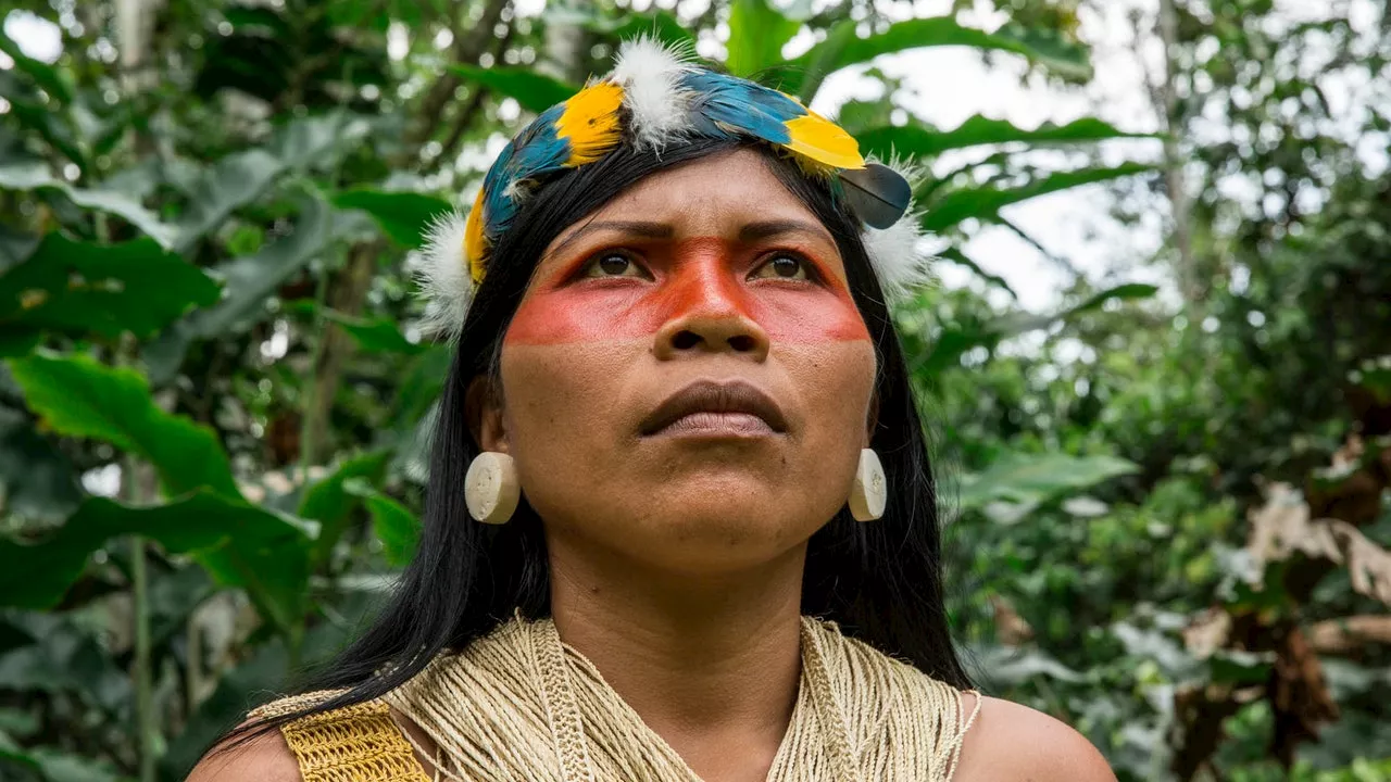 Indigenous Activist Nemonte Nenquimo on Her New Book ‘We Will Be Jaguars’ and Defending The Amazon